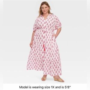Target x Roller Rabbit Maxi Dress